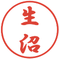 生沼の電子印鑑｜行書体｜縮小版