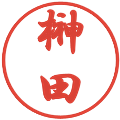 榊田の電子印鑑｜行書体｜縮小版