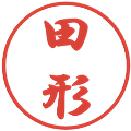 田形の電子印鑑｜行書体｜縮小版