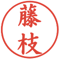 藤枝の電子印鑑｜楷書体｜縮小版