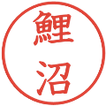 鯉沼の電子印鑑｜教科書体｜縮小版