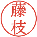 藤枝の電子印鑑｜明朝体｜縮小版