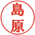 島原の電子印鑑｜プレゼンス体｜縮小版